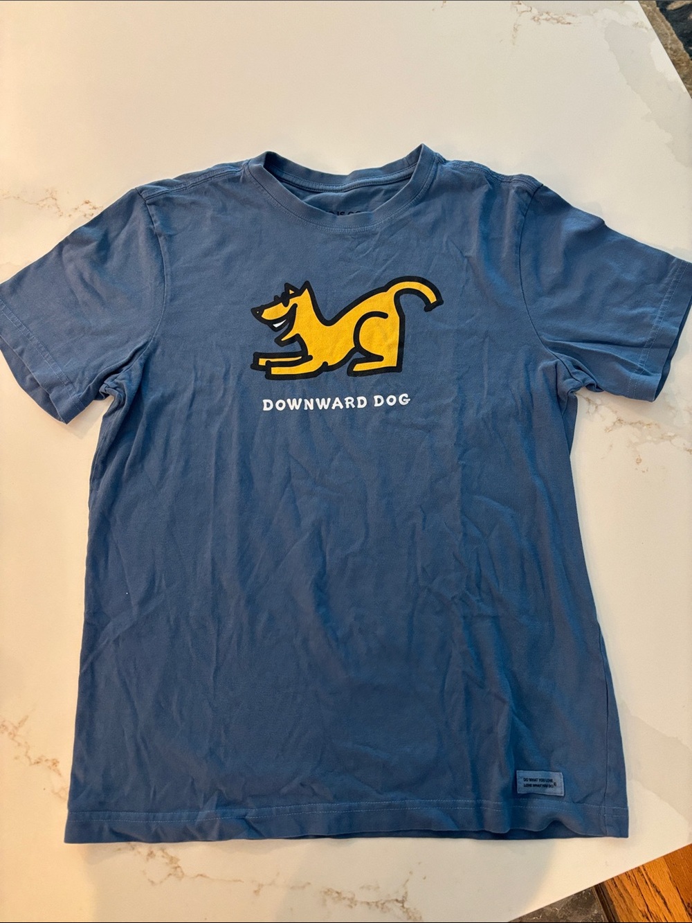 Life Is Good Gray Blue Crusher Tee with dog logo